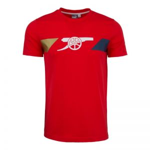 Koszulka Puma Arsenal Fun Tee M 747485011