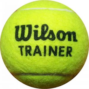 Piłka tenisowa Wilson Trainer 1 szt