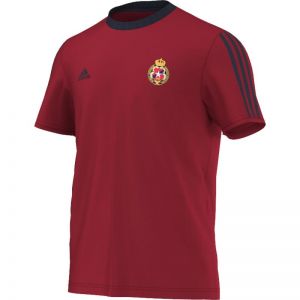 Koszulka piłkarska adidas Wisła Kraków CW Tee M S89001