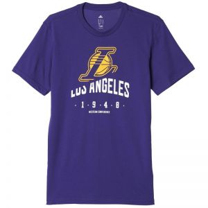 Koszulka adidas Basics Los Angeles Lakers M AJ1822