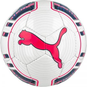 Piłka nożna Puma evoPOWER 4 Futsal 08223515