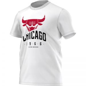 Koszulka adidas Basics Chicago Bulls M AH5060