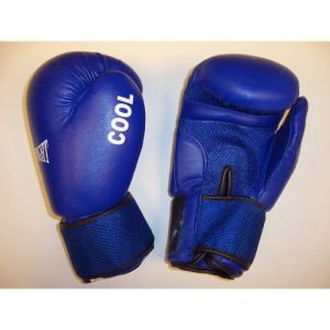 Rękawice bokserskie EVERFIGHT Cool 6oz niebieskie