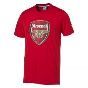 Koszulka Puma Arsenal Football Club F.C. Fan Tee M 74749001