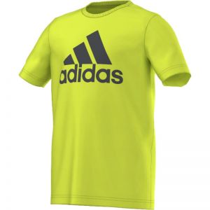 Koszulka adidas Essentials Logo Tee Junior S23188